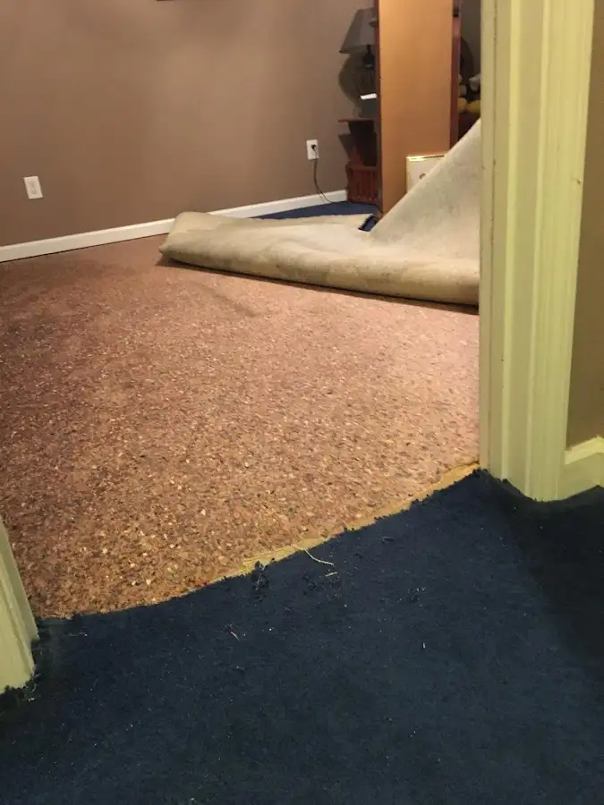 Carpet pad removal revealing water damage during Drying & Dehumidification in Fort Lewis