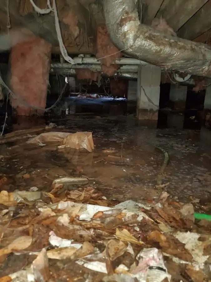 Crawl space flood assessment for Leak Detection & Repair in Fort Lewis