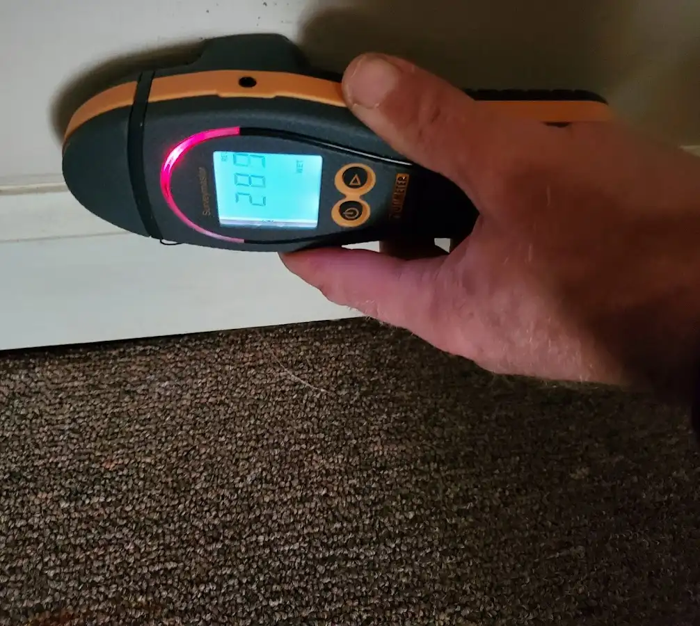 Moisture detection at baseboard during Sewage Cleanup & Sanitation in Fort Lewis